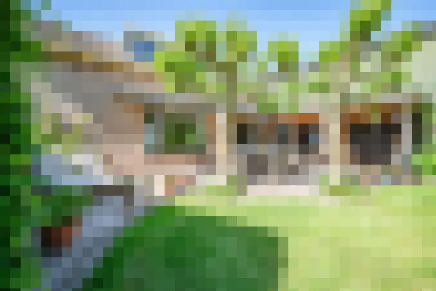 Baarlosedwarsweg 2 Marknesse thumbnail 59