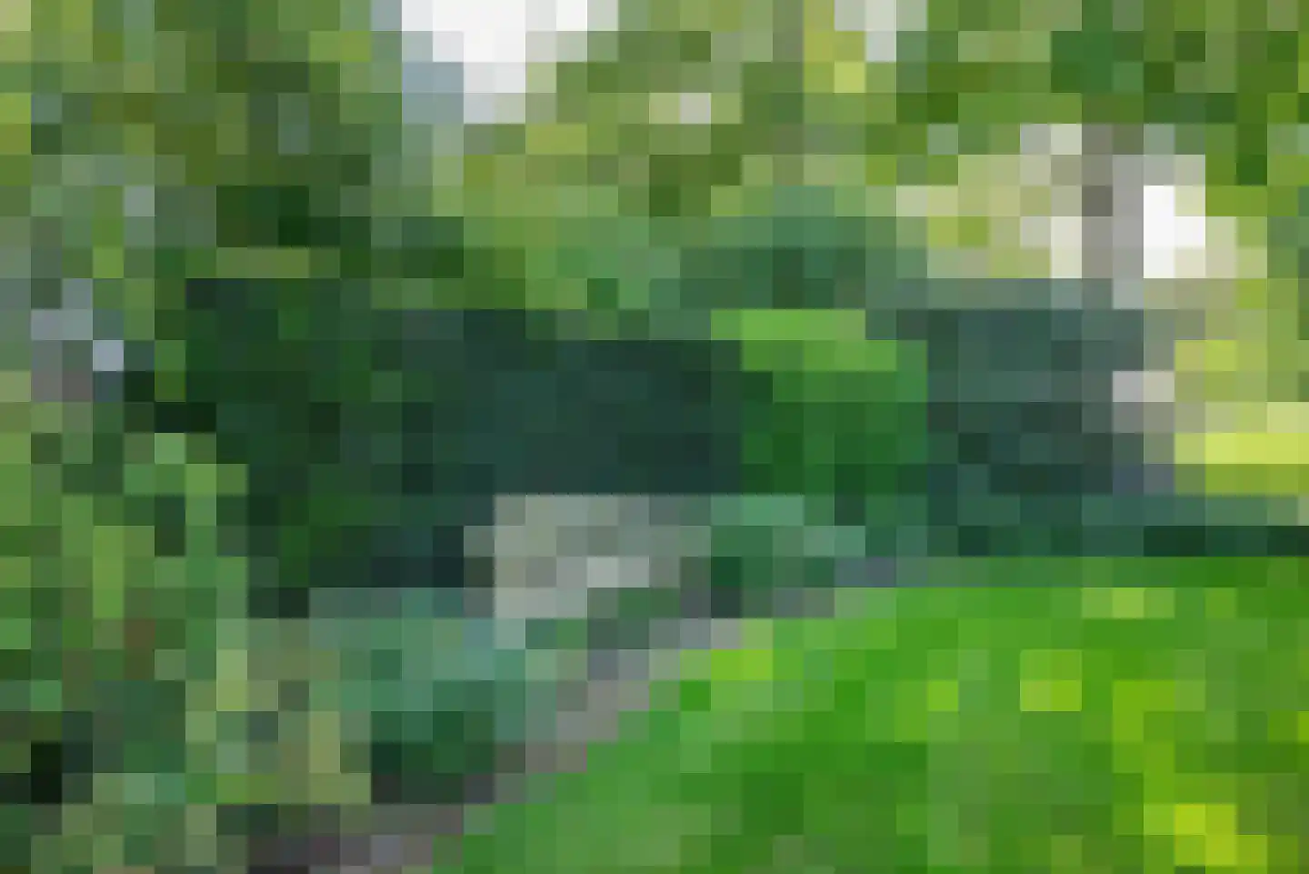 Baarlosedwarsweg 2 Marknesse thumbnail 62