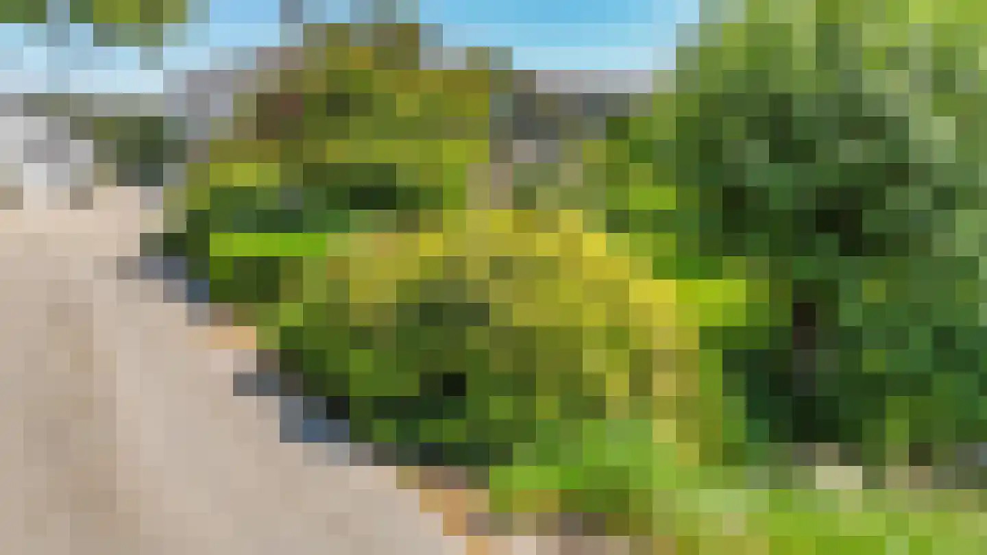 Baarlosedwarsweg 2 Marknesse thumbnail 64