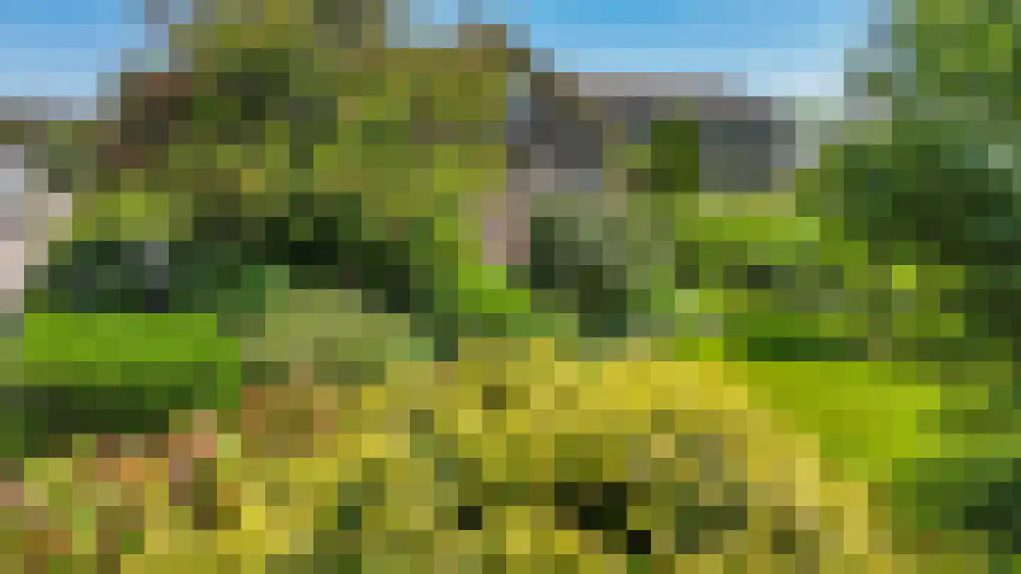 Baarlosedwarsweg 2 Marknesse thumbnail 65