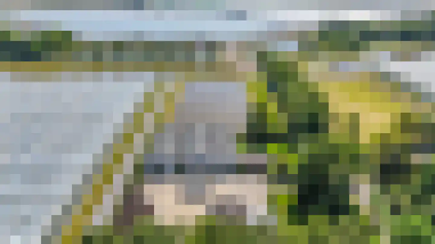 Baarlosedwarsweg 2 Marknesse thumbnail 66