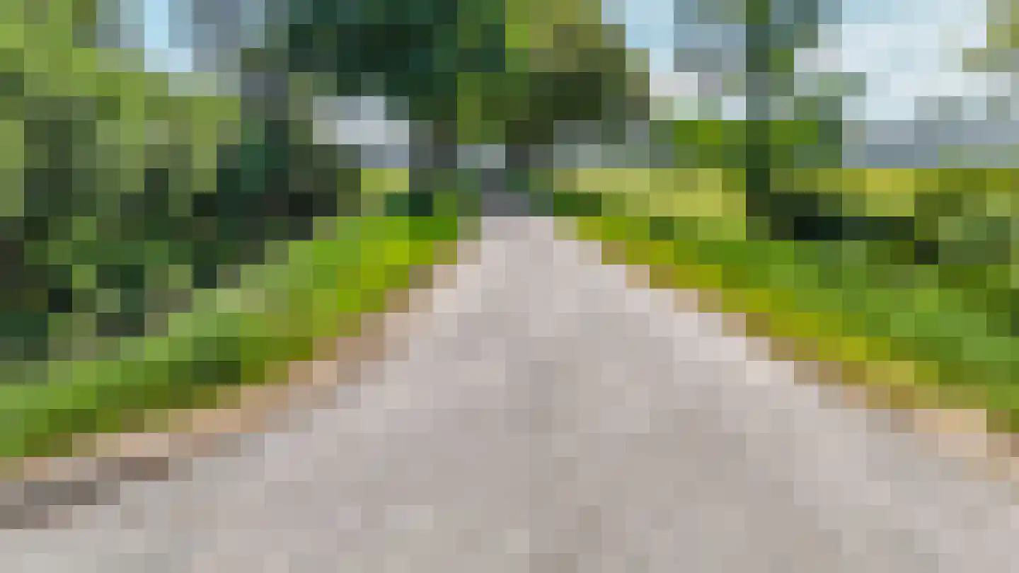 Baarlosedwarsweg 2 Marknesse thumbnail 67