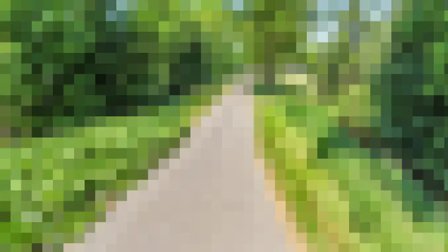 Baarlosedwarsweg 2 Marknesse thumbnail 68