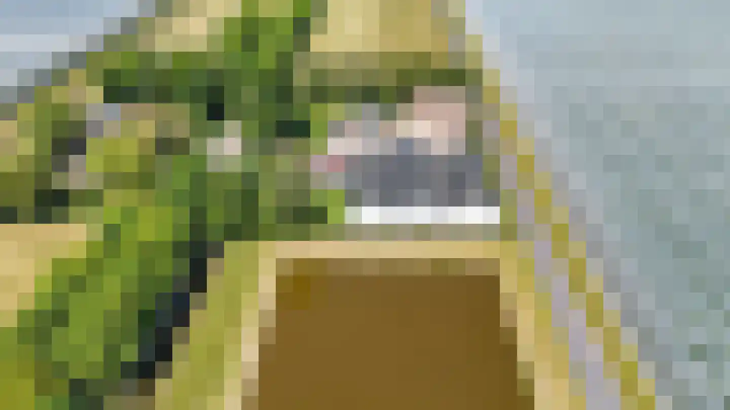 Baarlosedwarsweg 2 Marknesse thumbnail 69