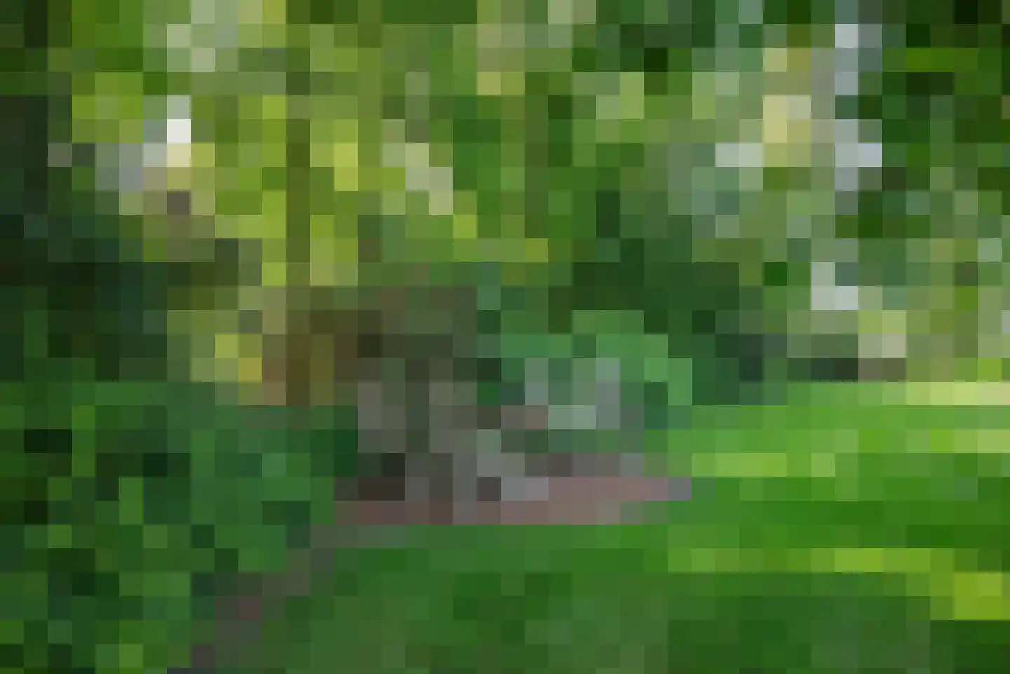 Baarlosedwarsweg 2 Marknesse thumbnail 7