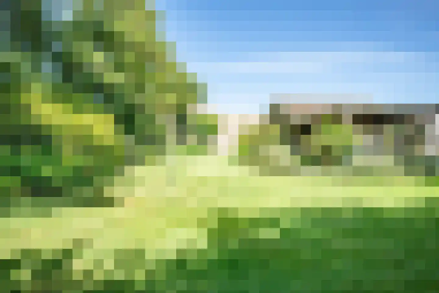 Baarlosedwarsweg 2 Marknesse thumbnail 9