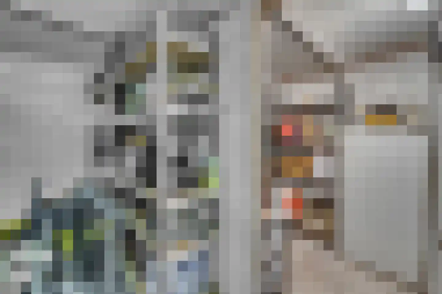 Baarlosestraat 107 Venlo thumbnail 32