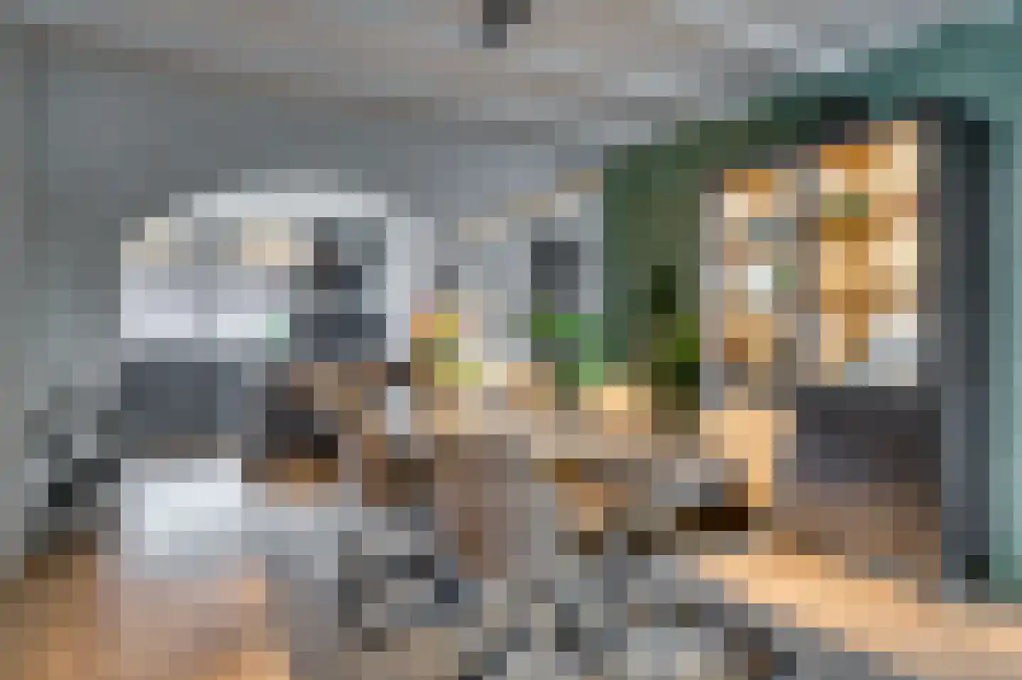 Baarlosestraat 107 Venlo thumbnail 9