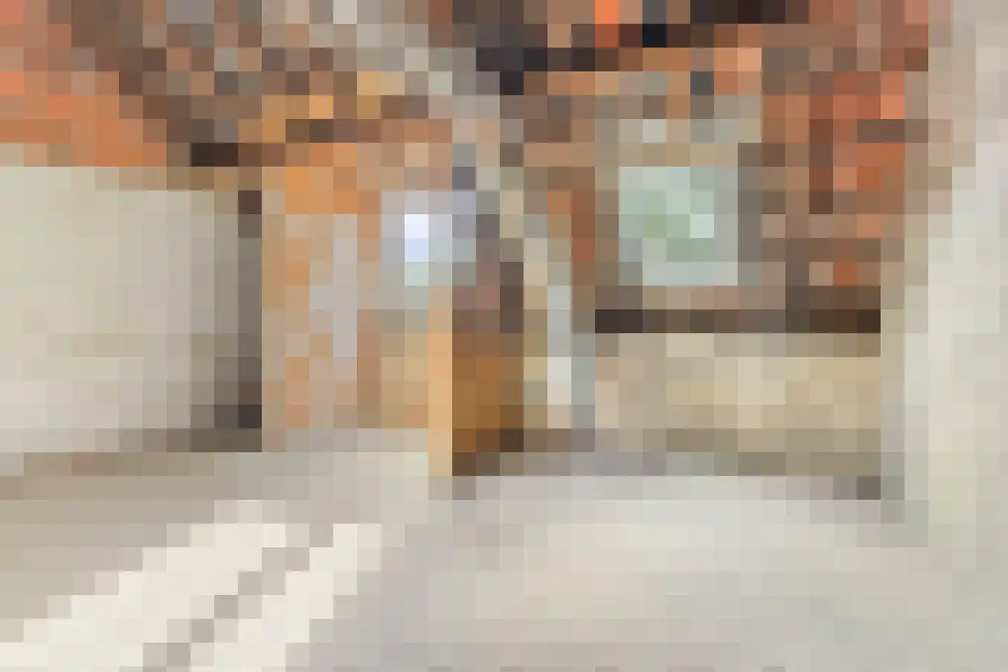 Baarlosestraat 18 Venlo thumbnail 30