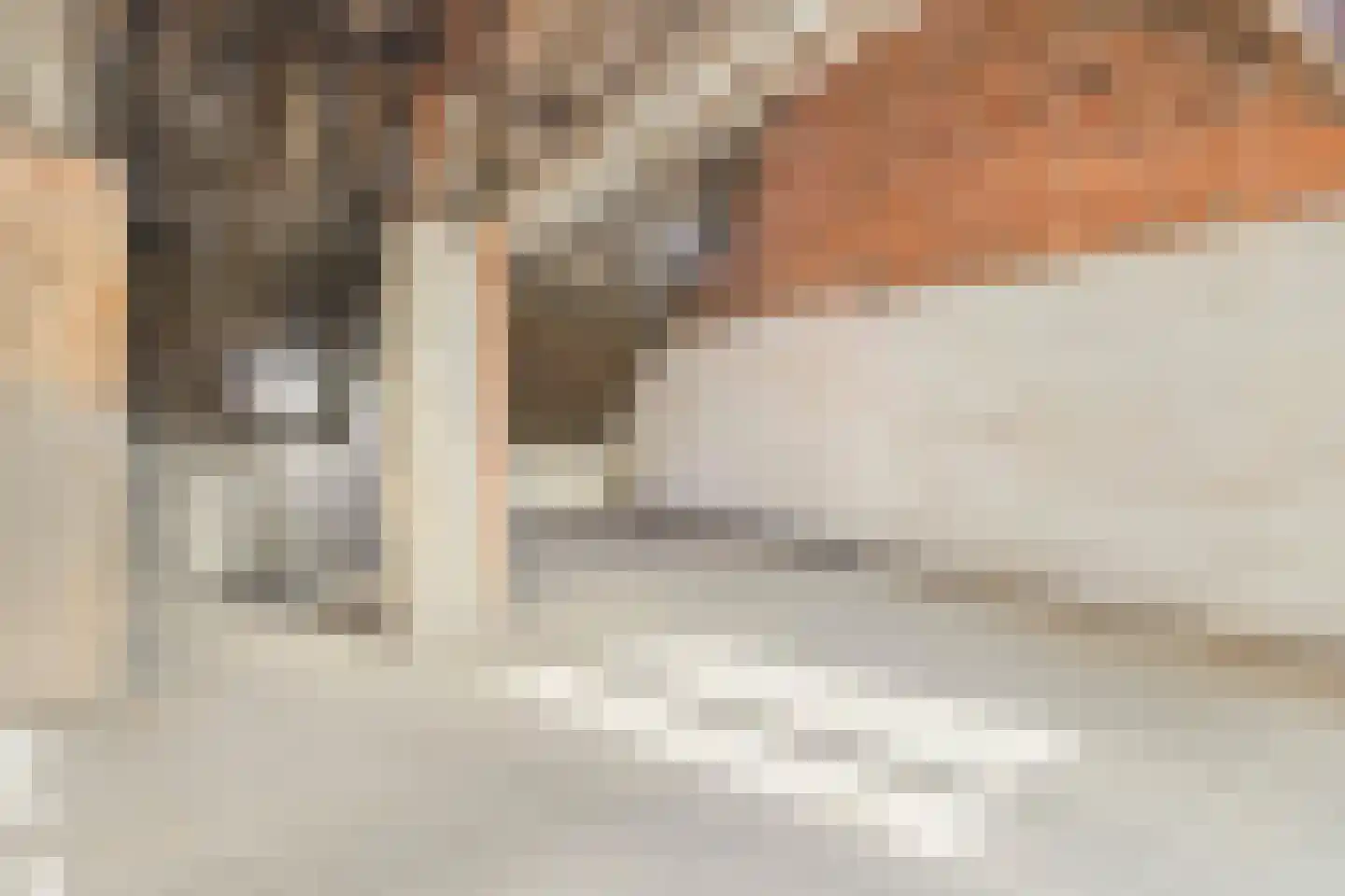 Baarlosestraat 18 Venlo thumbnail 31