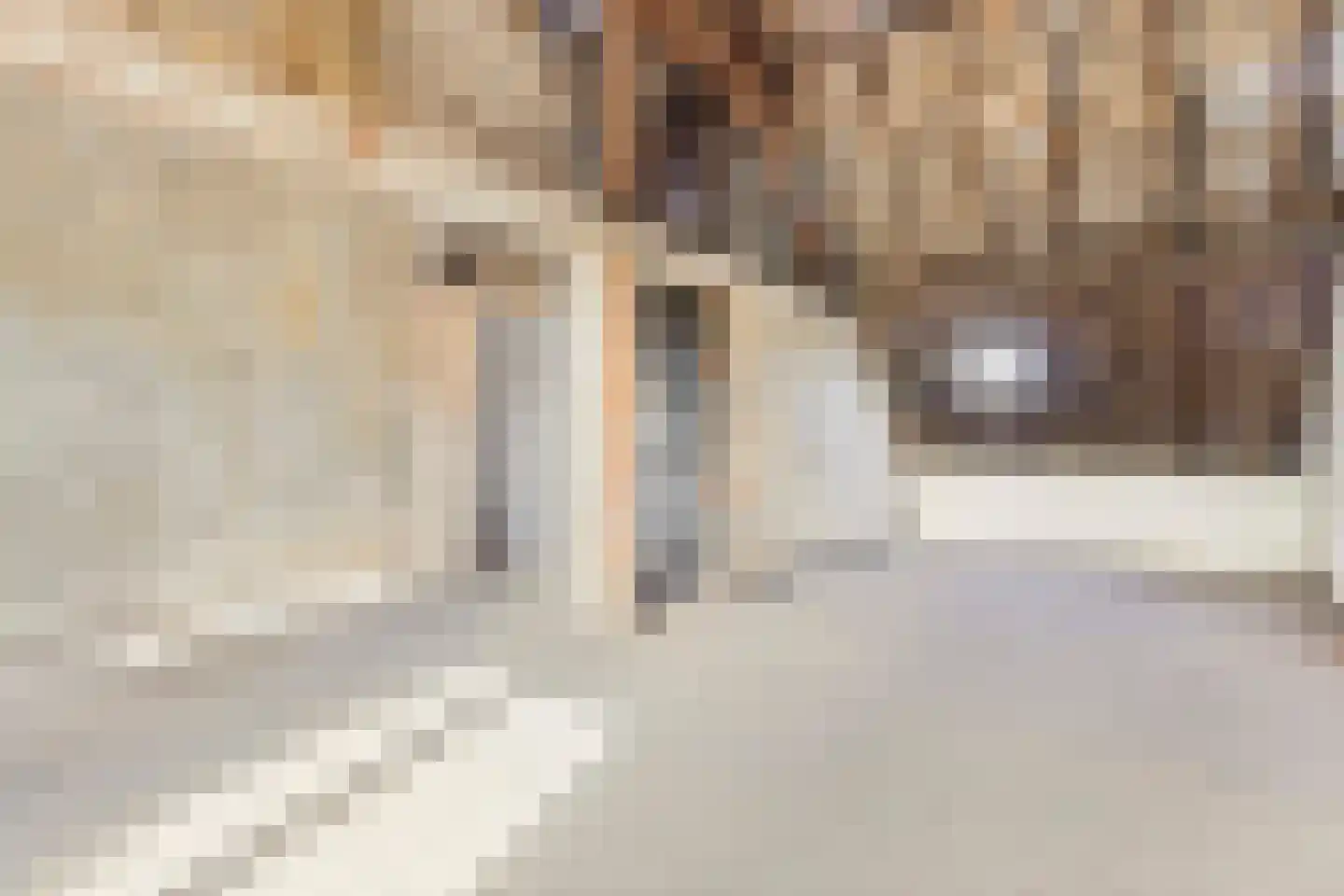 Baarlosestraat 18 Venlo thumbnail 32