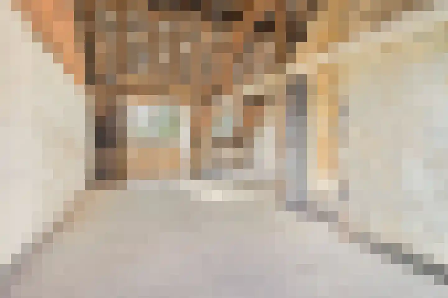 Baarlosestraat 18 Venlo thumbnail 33