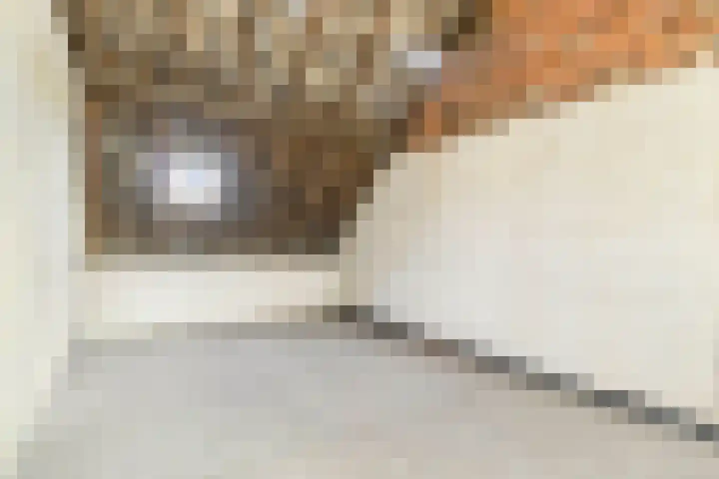 Baarlosestraat 18 Venlo thumbnail 35