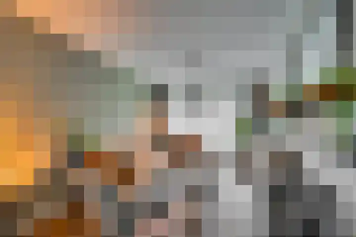 Baarlosestraat 32 Venlo thumbnail 10