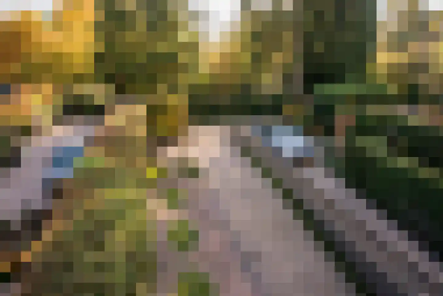 Baarlosestraat 37 Venlo thumbnail 24