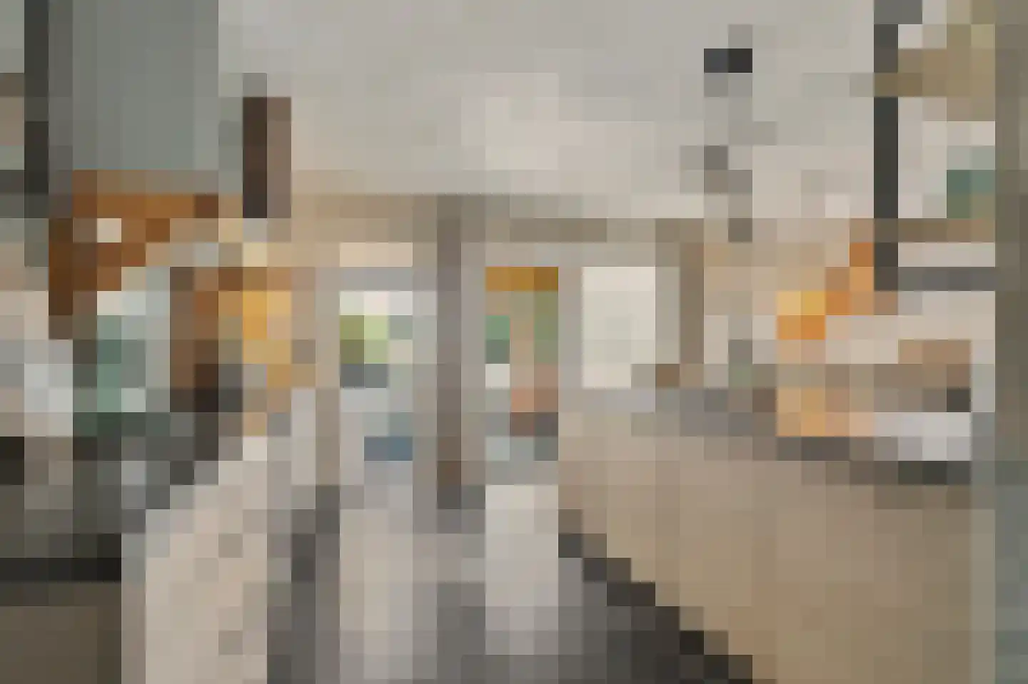 Baarlosestraat 90 Venlo thumbnail 10