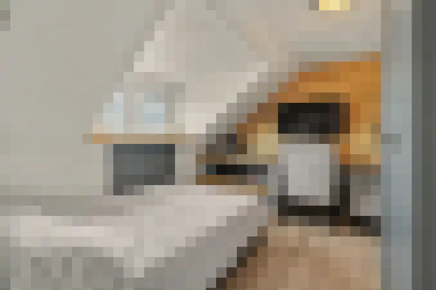 Baarlosestraat 90 Venlo thumbnail 25