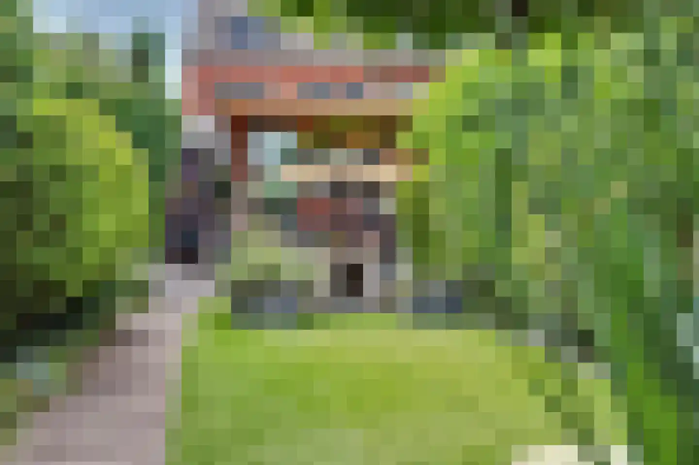 Baarlosestraat 90 Venlo thumbnail 33