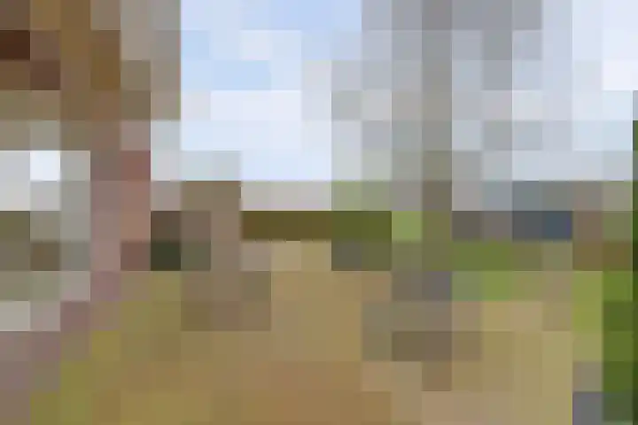Baarloseweg 14 A Helden thumbnail 27