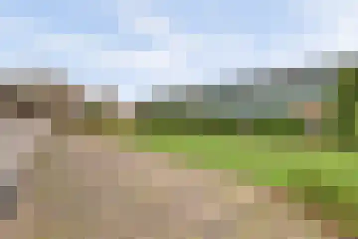 Baarloseweg 14 A Helden thumbnail 32