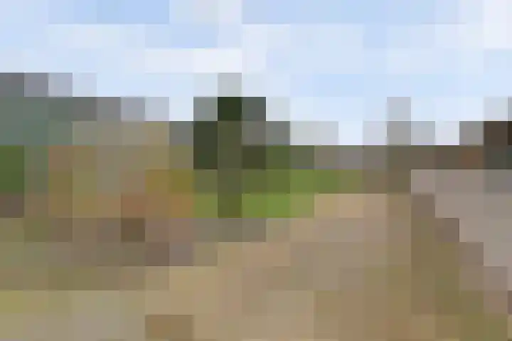 Baarloseweg 14 A Helden thumbnail 37