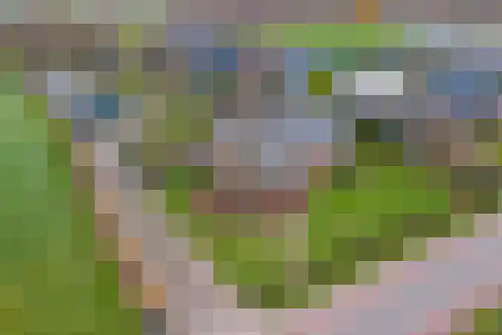 Baarloseweg 14 A Helden thumbnail 41