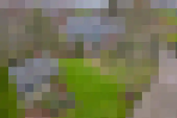 Baarloseweg 14 A Helden thumbnail 43