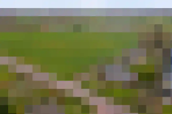 Baarloseweg 14 A Helden thumbnail 44