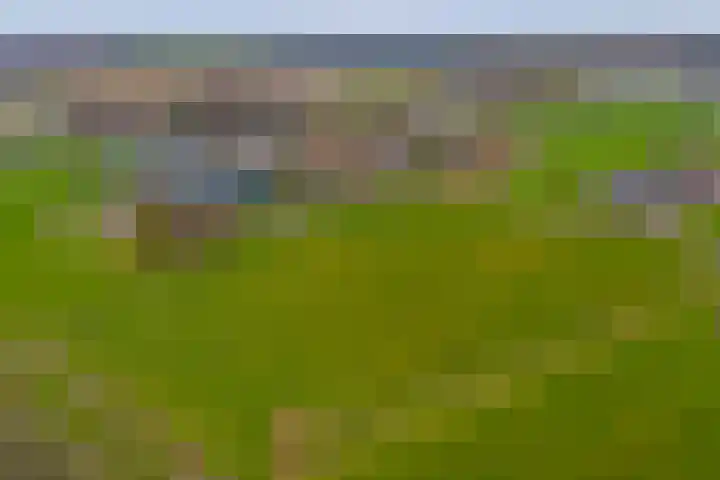 Baarloseweg 14 A Helden thumbnail 46