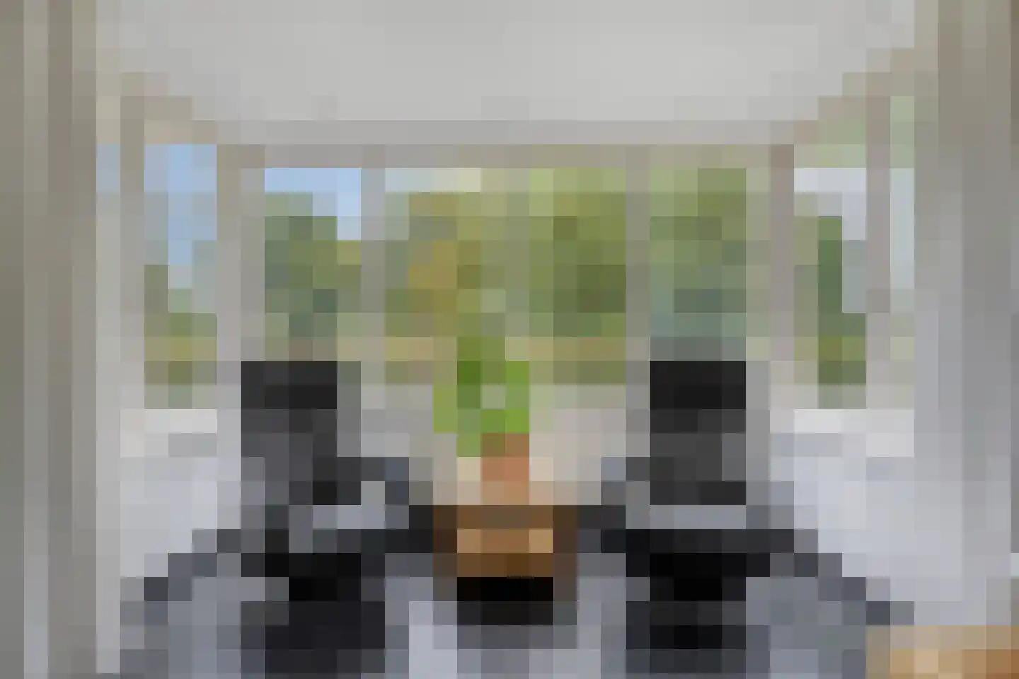 Baarloseweg 2 Helden thumbnail 11