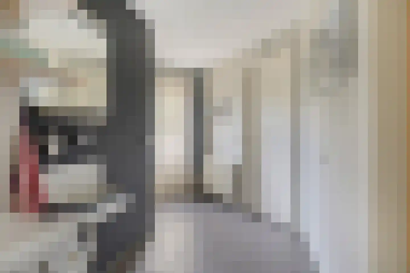 Baarloseweg 2 Helden thumbnail 19