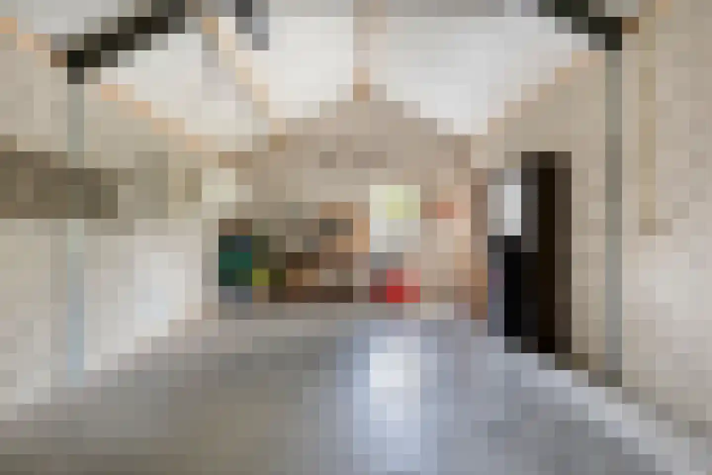 Baarloseweg 2 Helden thumbnail 24