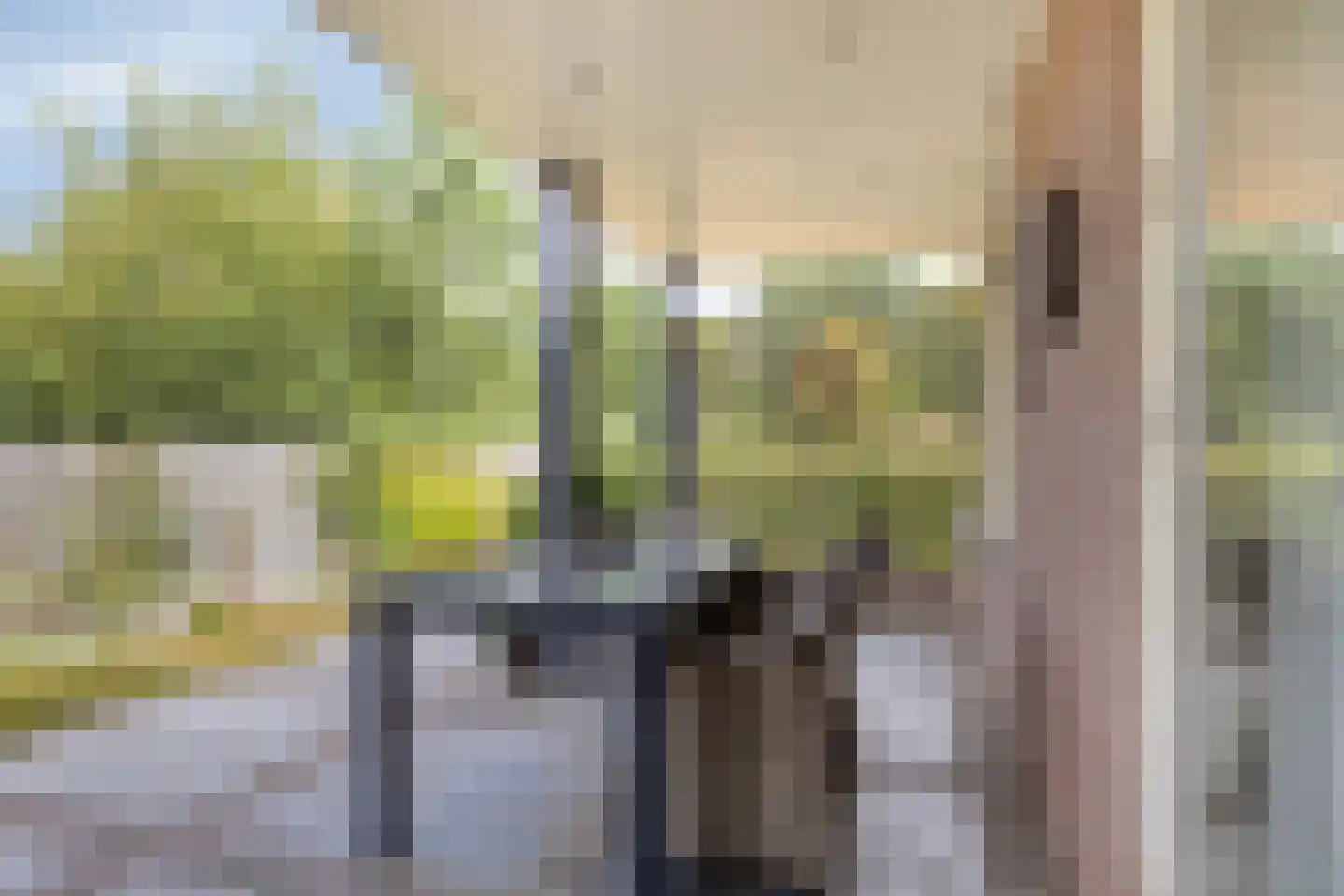 Baarloseweg 2 Helden thumbnail 34