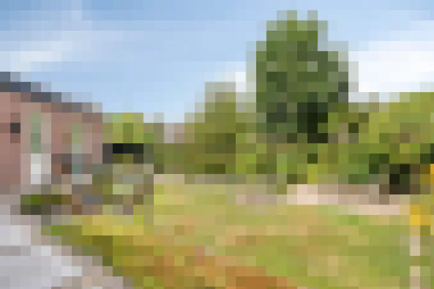 Baarloseweg 2 Helden thumbnail 35