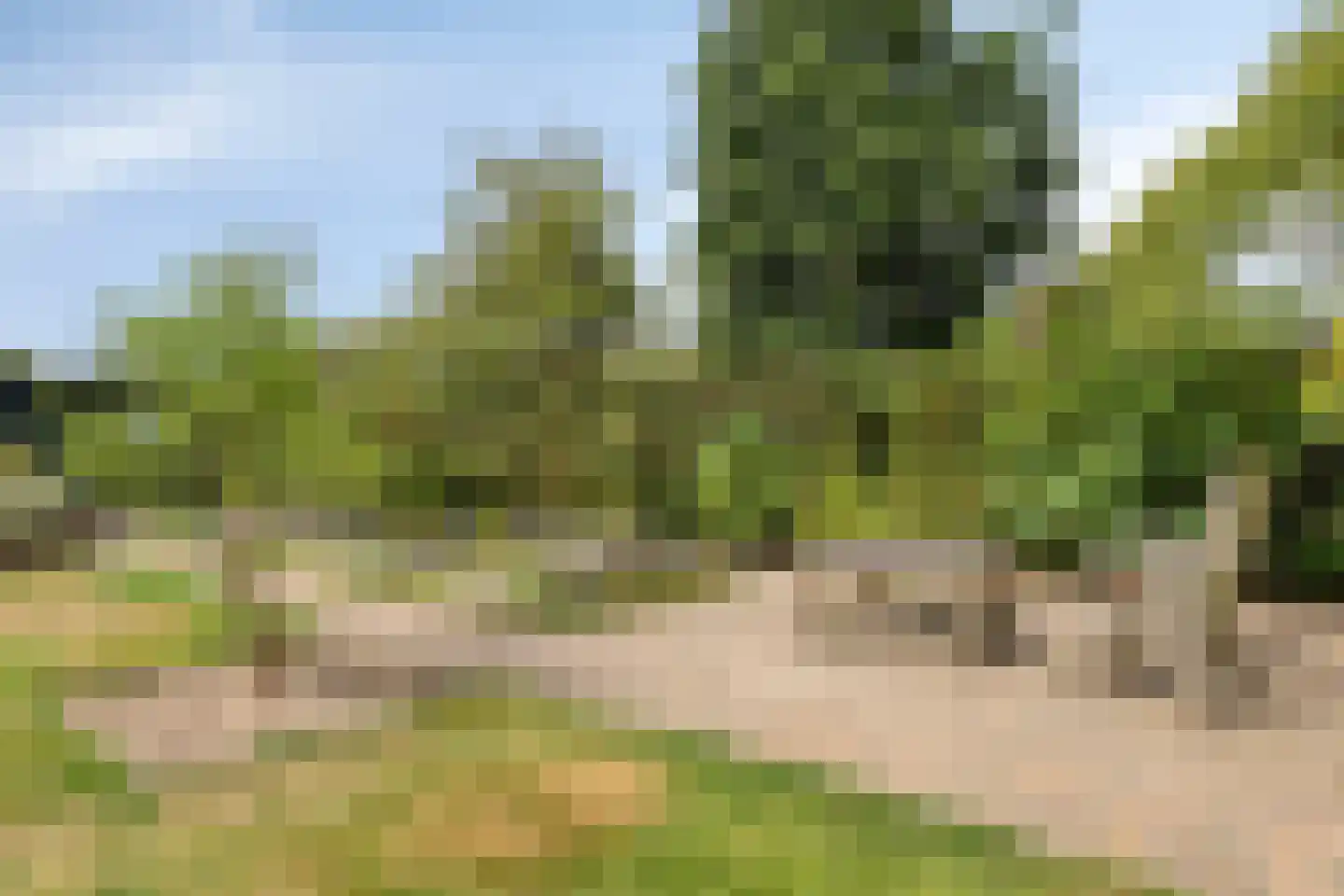 Baarloseweg 2 Helden thumbnail 37