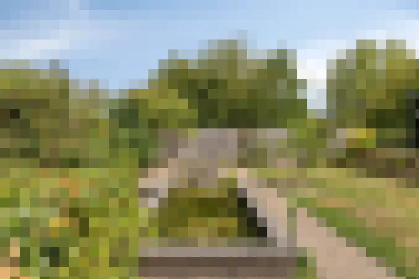 Baarloseweg 2 Helden thumbnail 39