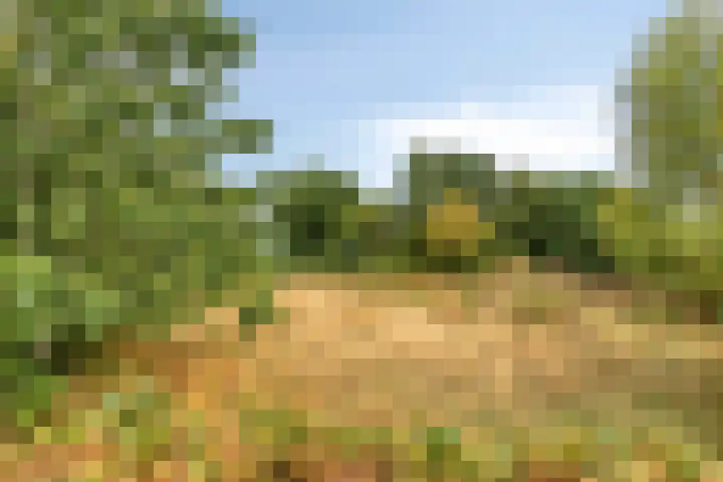 Baarloseweg 2 Helden thumbnail 42