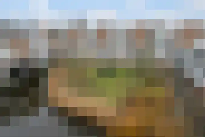 Baarnhoeve 26 Vlaardingen thumbnail 14
