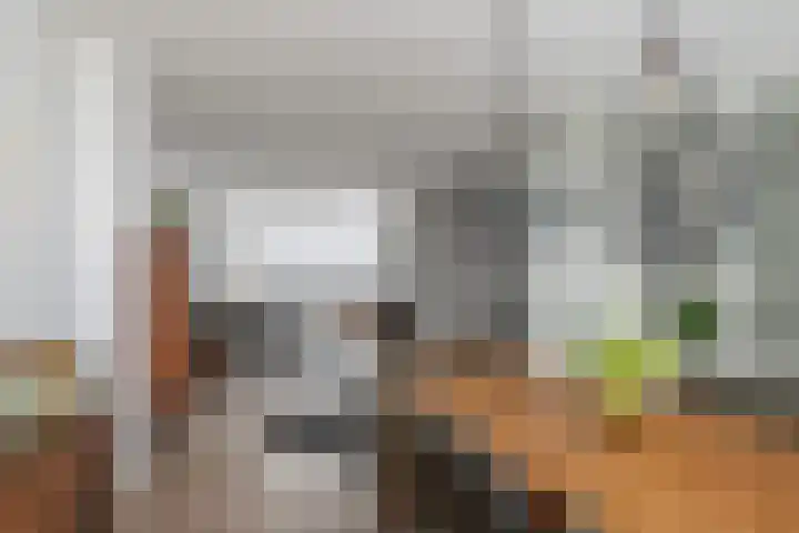 Baarnhoeve 26 Vlaardingen thumbnail 6