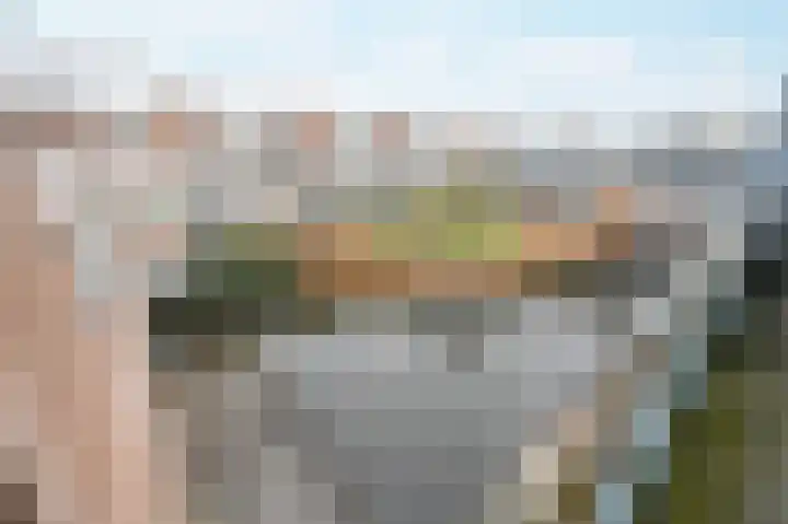 Baarnhoeve 38 Vlaardingen thumbnail 7