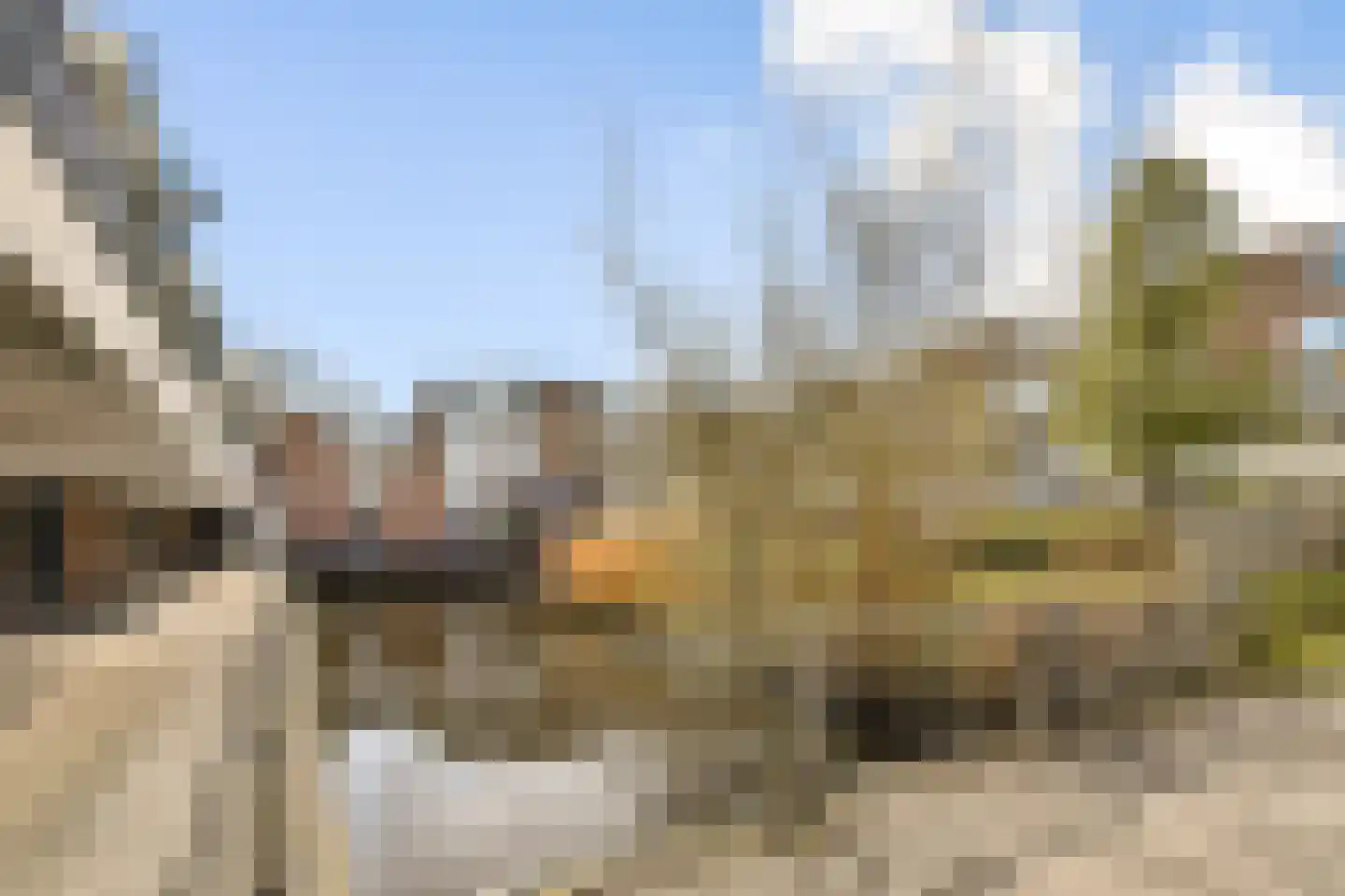 Baarnhoeve 40 Vlaardingen thumbnail 20