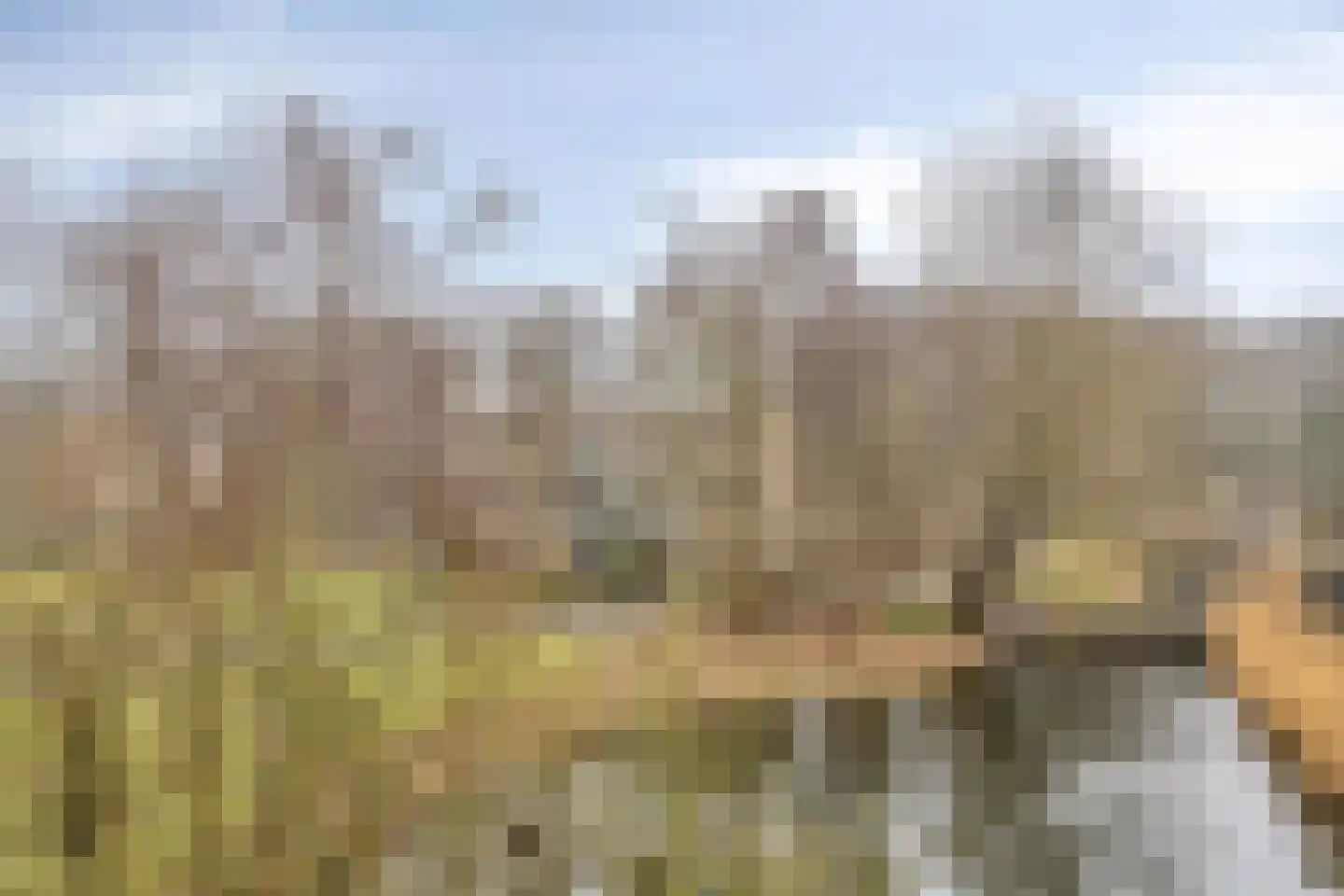 Baarnhoeve 74 Vlaardingen thumbnail 28