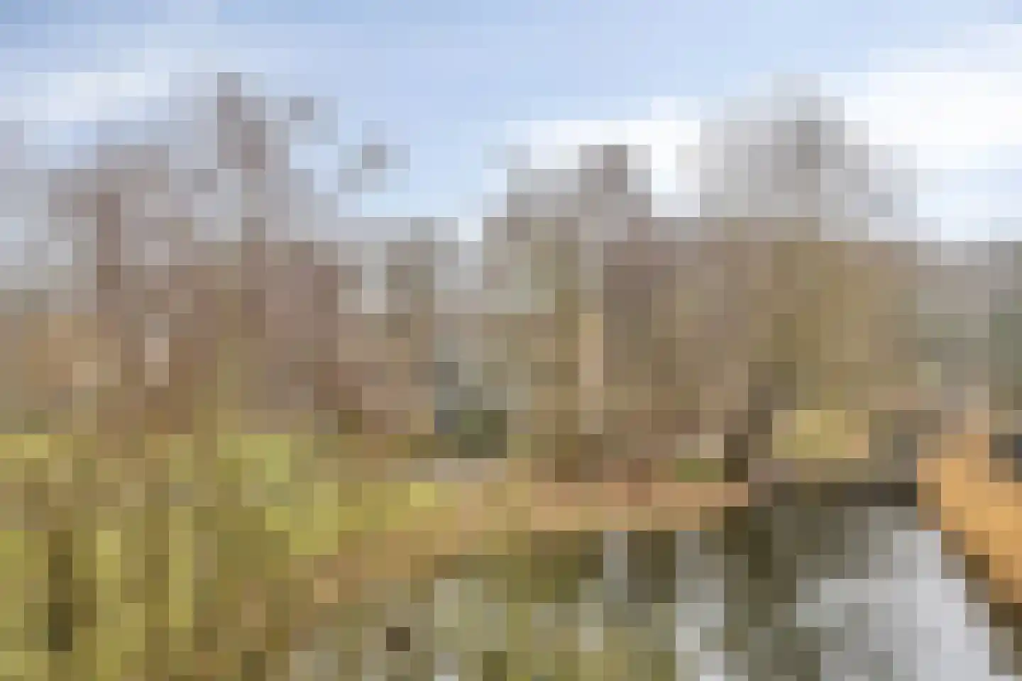 Baarnhoeve 74 Vlaardingen thumbnail 28
