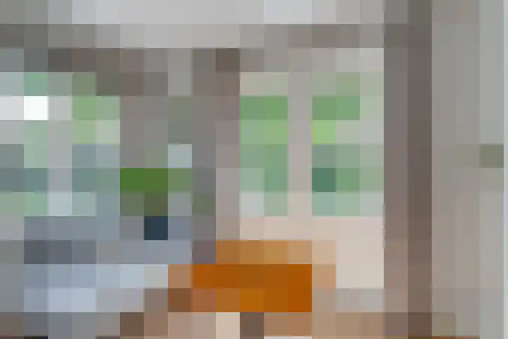 Baarnseweg 31 Bosch en Duin thumbnail 14