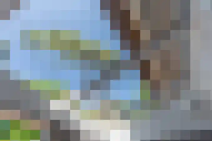 Baarnseweg 31 Bosch en Duin thumbnail 23