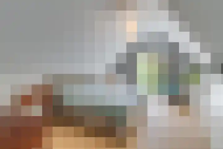 Baarnseweg 31 Bosch en Duin thumbnail 30