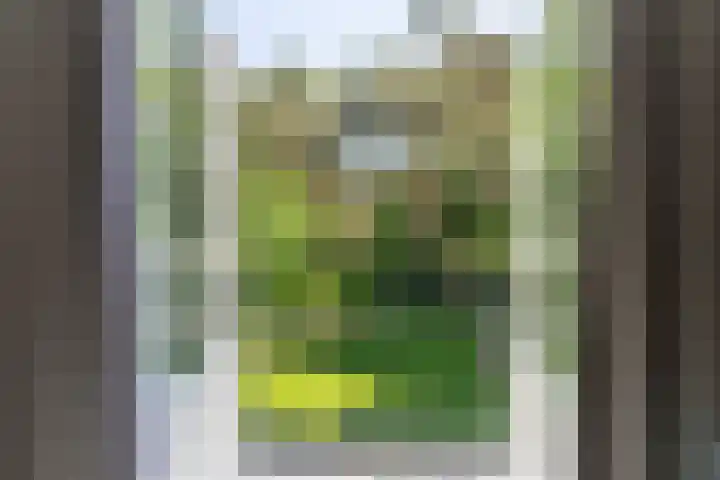 Baarnseweg 31 Bosch en Duin thumbnail 31