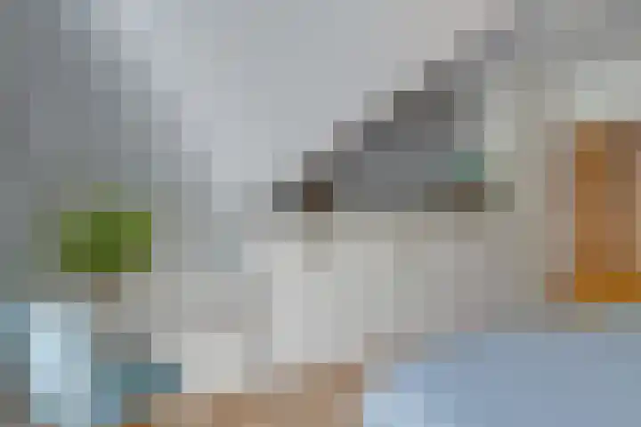 Baarnseweg 31 Bosch en Duin thumbnail 34