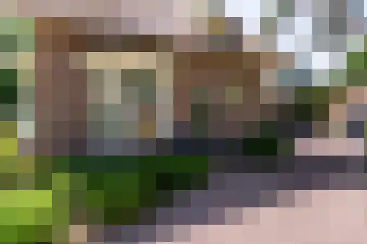 Baarnseweg 31 Bosch en Duin thumbnail 4