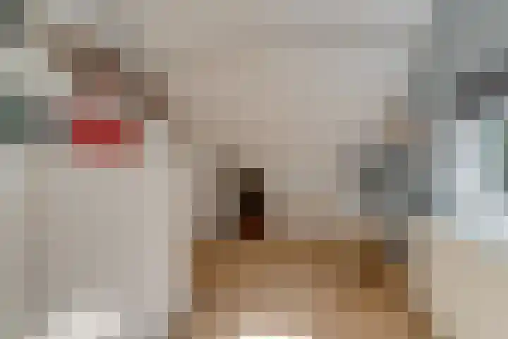 Baarnseweg 31 Bosch en Duin thumbnail 41